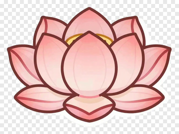 A pink lotus flower with a soft shadow.