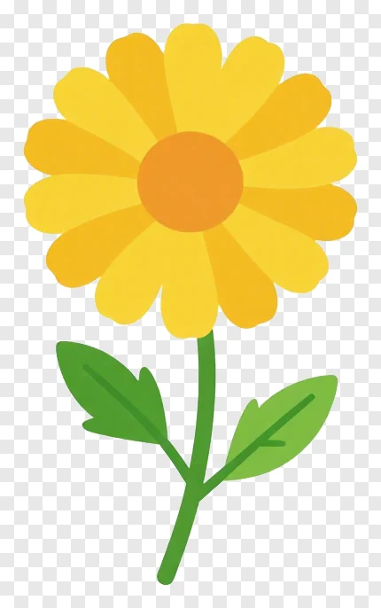 Yellow marigold flower with green stem and leaves.