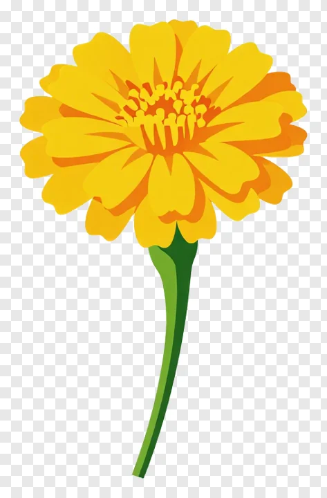 A yellow marigold flower with a green stem.
