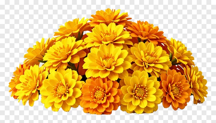 A spherical cluster of yellow and orange marigold flowers.