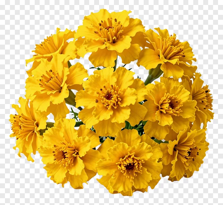 A bouquet of yellow marigold flowers.