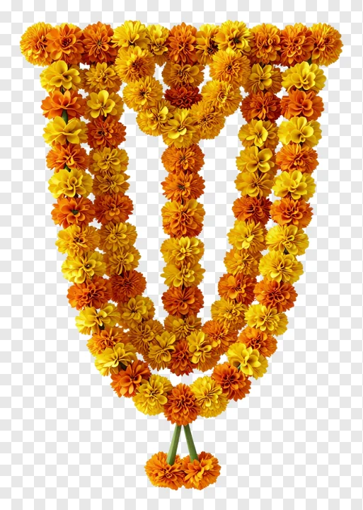V-shaped marigold garland made of orange and yellow flowers.