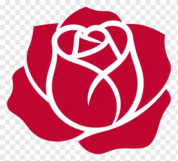 A curled crimson rose petal.