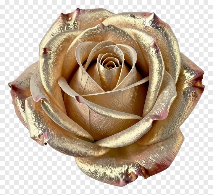 A rose with a metallic sheen.