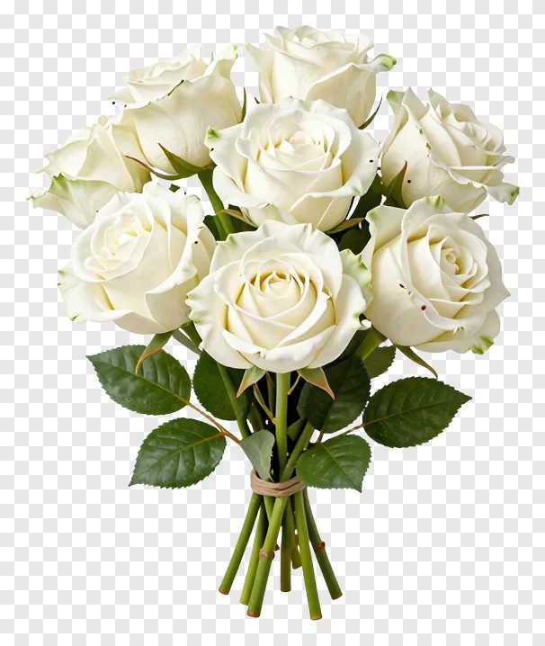 A bouquet of white roses with green leaves.