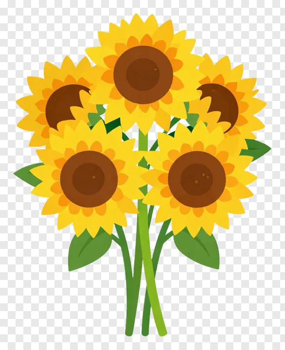 A bouquet of five sunflowers with green stems and leaves.