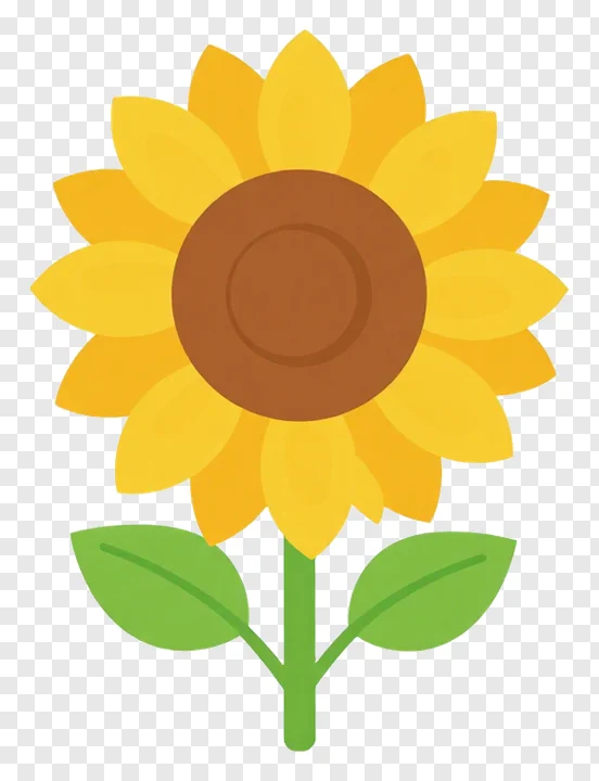 A cartoon sunflower with green leaves.