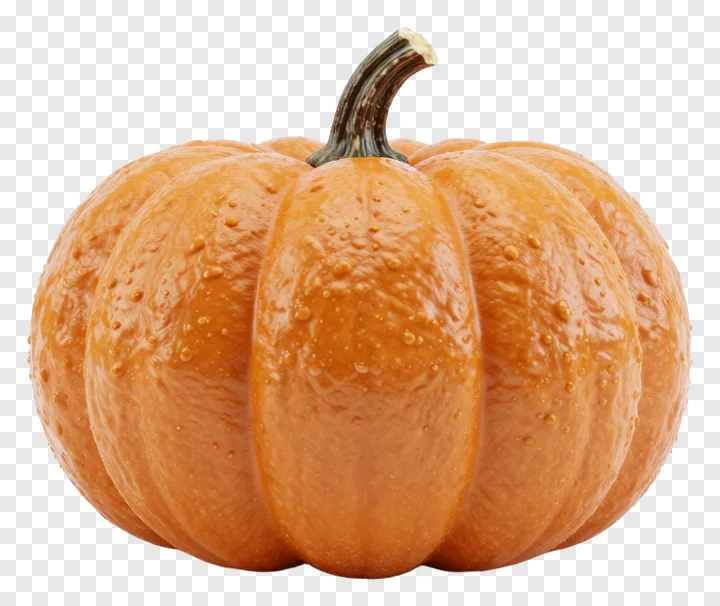 An orange pumpkin with a dark stem.
