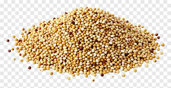 A pile of baked quinoa grains.