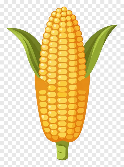 Cartoon corn cob with green husks and yellow kernels.