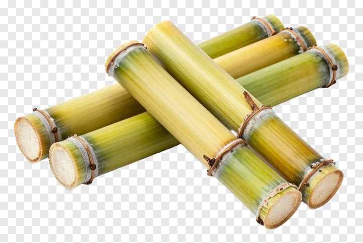 Several sugarcane stalks crossed over each other.
