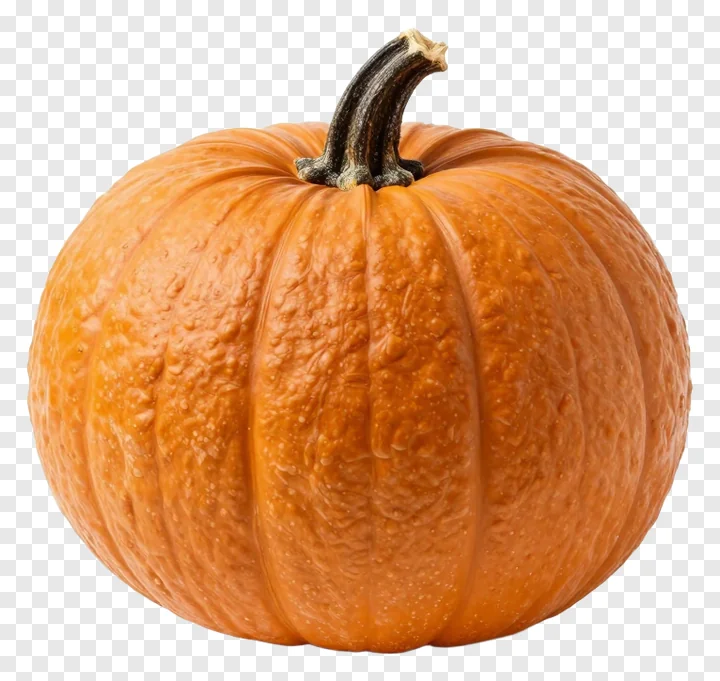 An orange pumpkin with a rugged texture and dark stem.