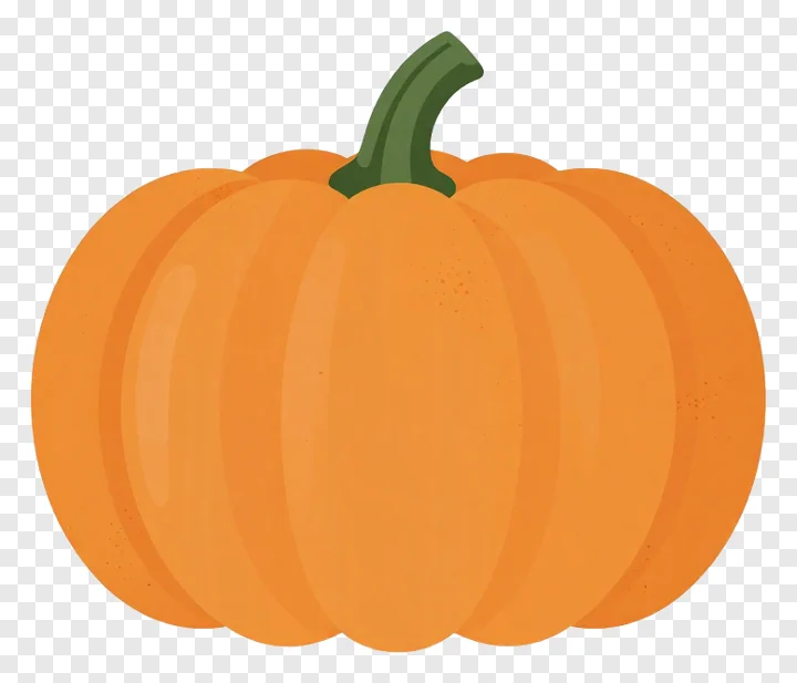 An orange pumpkin with a green stem.