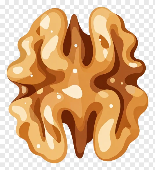 Maple glazed walnut half with detailed texture.