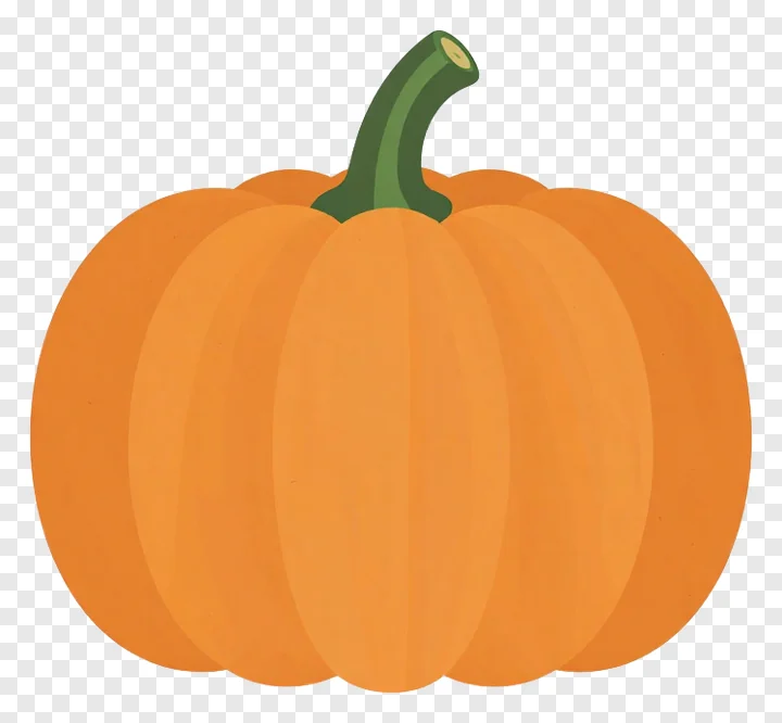 An orange pumpkin with a green stem.