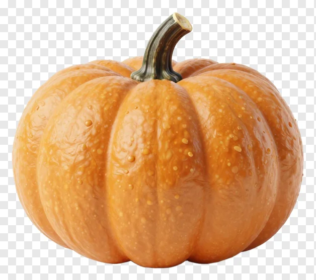 An orange pumpkin with a curved stem.