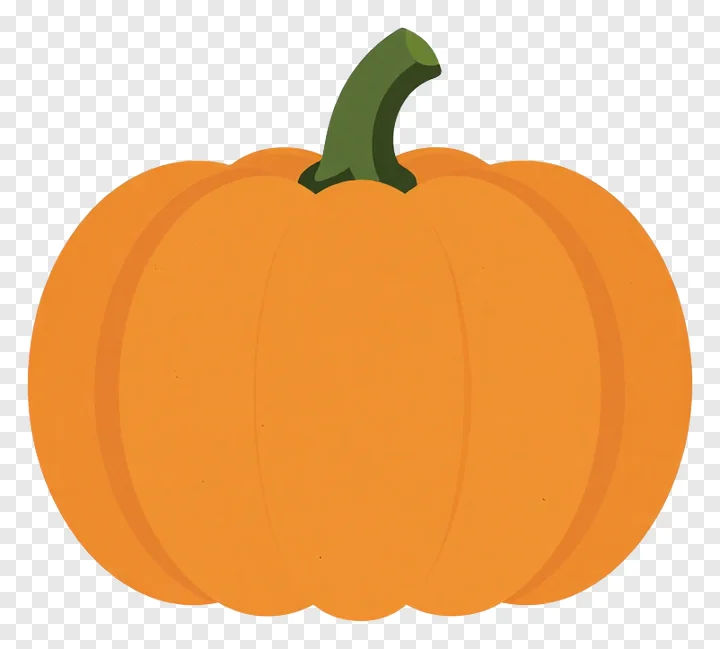 An orange pumpkin with a green stem.