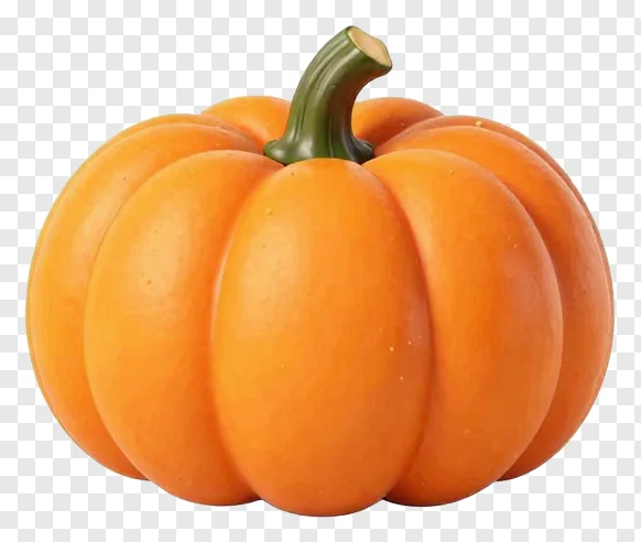 A smooth orange pumpkin with a green stem.