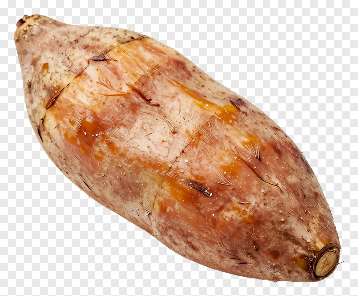 A roasted sweet potato with caramelized skin.