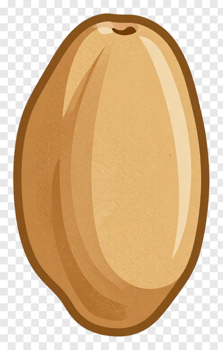 A single rice grain with a smooth, golden-brown surface.