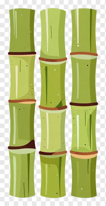 Three green sugarcane stalks standing vertically.