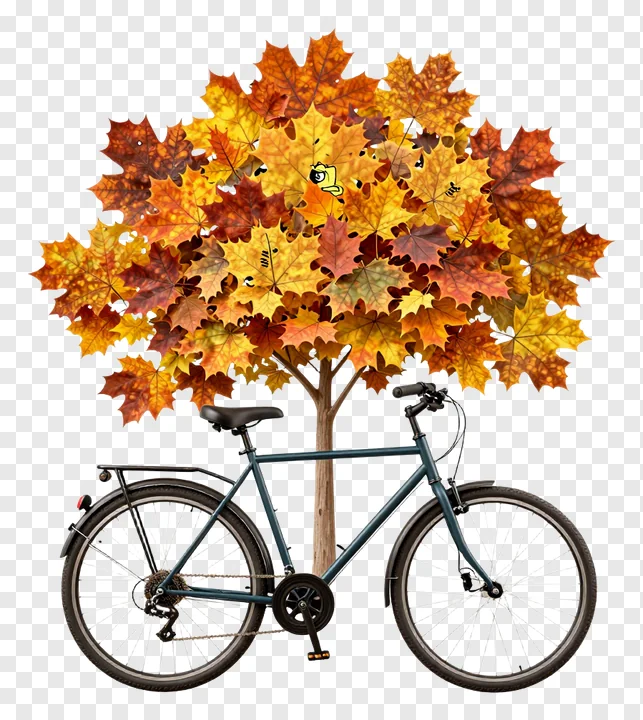 A bicycle parked under an autumn leaf canopy.