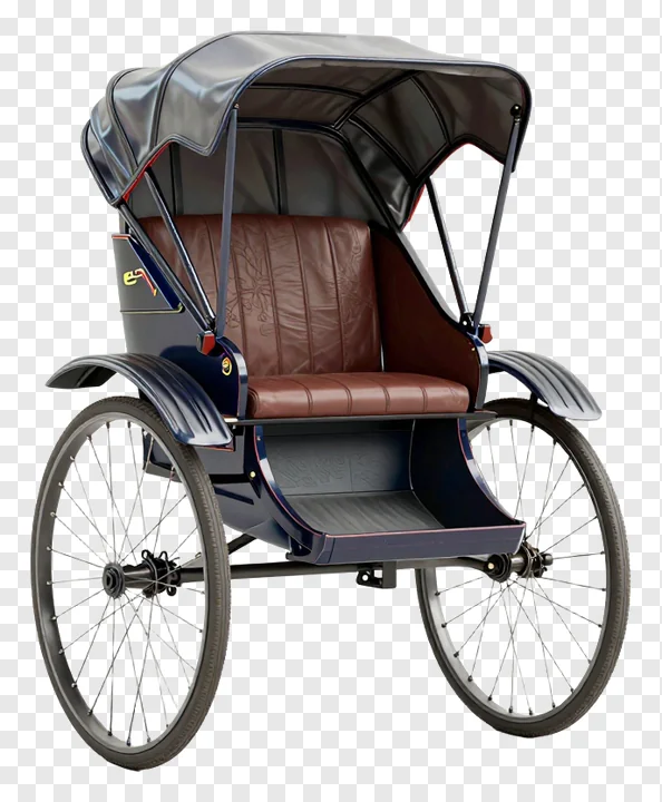 A classic covered rickshaw with leather seat and canopy.