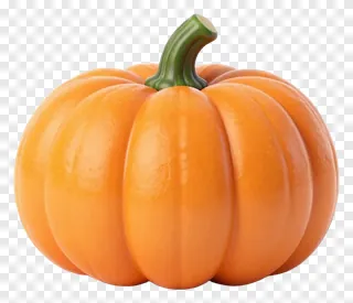 An orange pumpkin with a green stem.