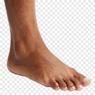 A bare foot with visible skin texture.