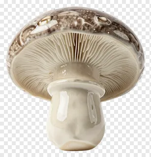 Ceramic mushroom with visible gill structure.