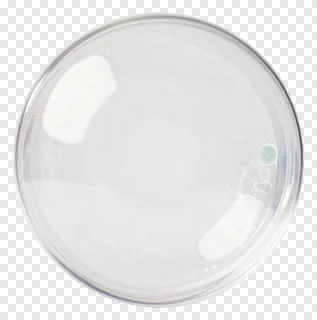 A clear bubble containing dust particles.