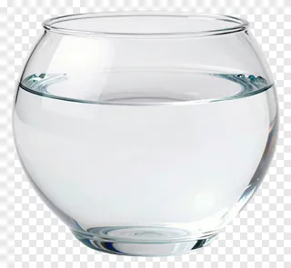 A clear glass fishbowl filled with water.