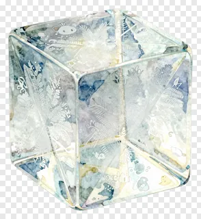 A frosted glass cube with etched fern designs.