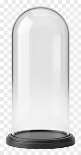A glass dome display case with a black base.