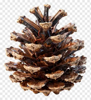 An artistic, glass-marbled pinecone sculpture with intricate swirls.