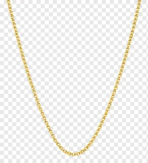 A gold Figaro chain necklace.