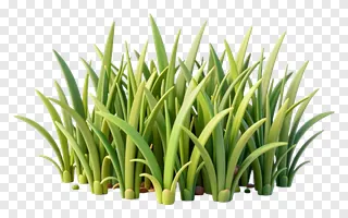 A clump of vibrant green grass rendered in 3D.