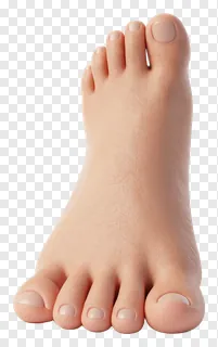 A human foot with visible skin texture and natural toenails.