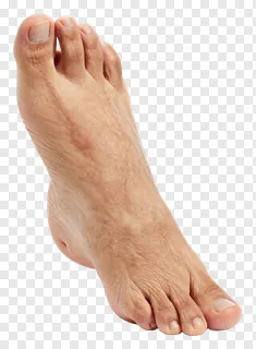 A human foot with visible veins and natural skin texture.
