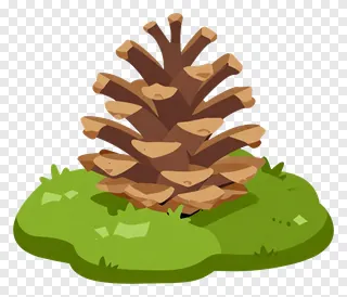 A pinecone sitting on a bed of moss.