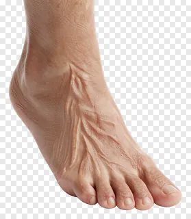 A realistic 3D-rendered foot with deep, natural skin texture.