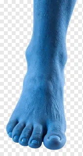 A blue 3D-rendered foot with textured skin.