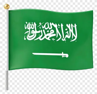 Saudi Arabia flag on a pole.