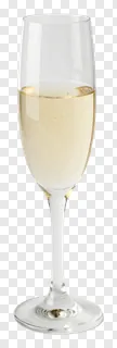 A single champagne glass with a gold rim filled with champagne.
