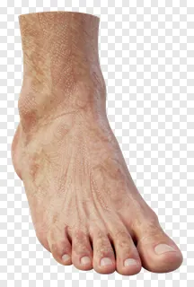 A 3D rendered foot with detailed skin texture and visible veins.