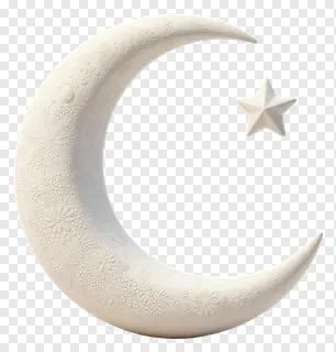 A white crescent moon with floral patterns and a small star.