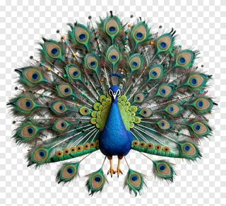 A 3D-rendered peacock with a fanned tail in a rangoli design.
