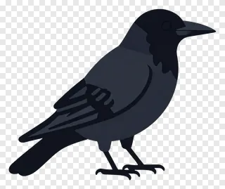 A black crow in profile view.