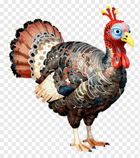 A colorful, patterned turkey illustration.