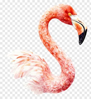 A watercolor flamingo with a curved neck.